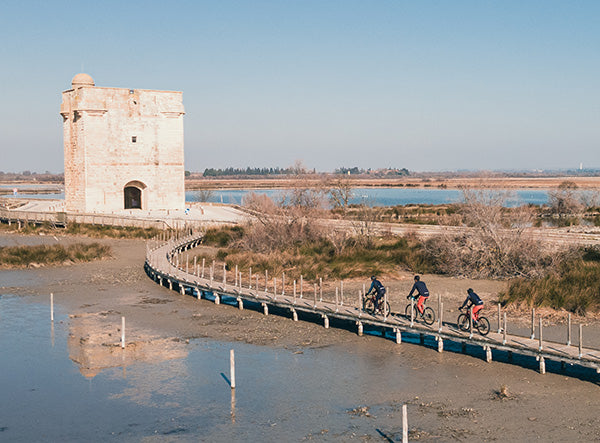 The Camargue – Between Sky and Sea