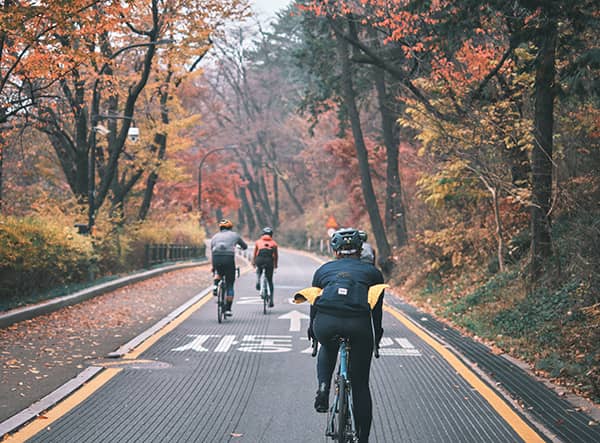 Autumn colours of Seoul