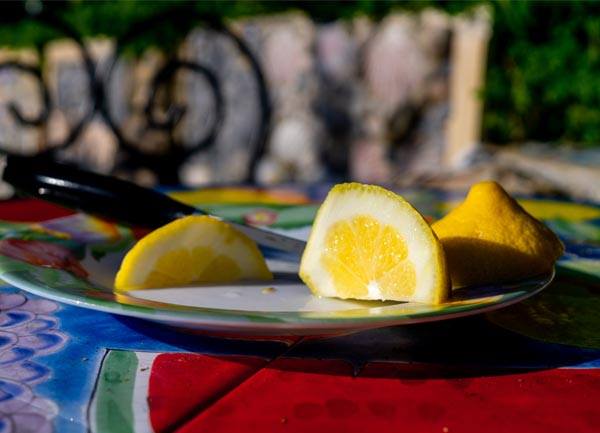 The Lemon Farmers Of The Col de la Madone