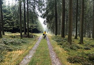 SOPHIE GATEAU | Adventure in the Ardennes