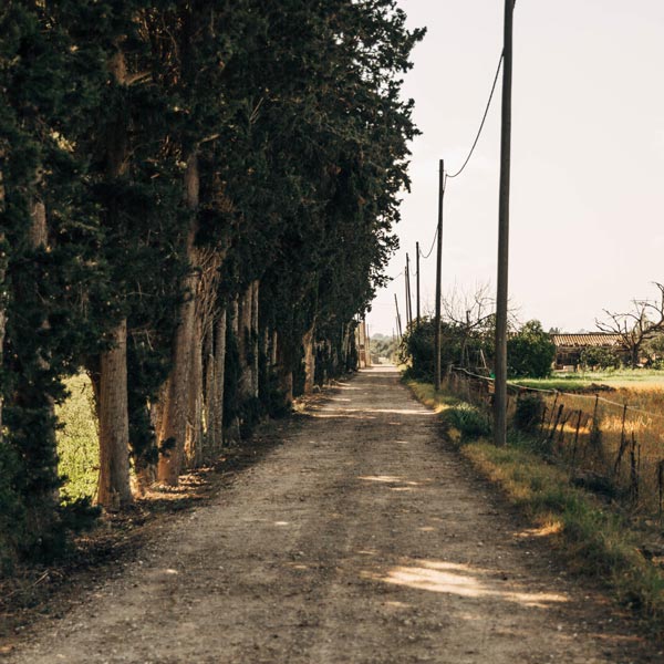 GRAVEL RIDES ON MALLORCA – FROM SAND TO DUST