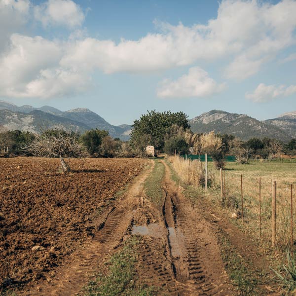 GRAVEL RIDES ON MALLORCA – ON THE INCA TRAIL