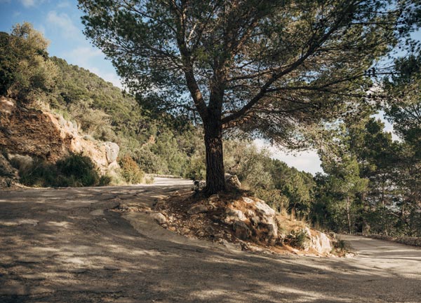 GRAVEL RIDES ON MALLORCA –  SINEU TO THE MOUNTAINS