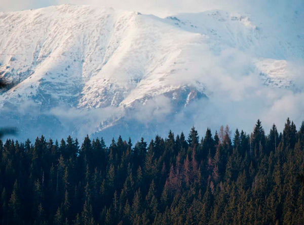 Mountain Moods