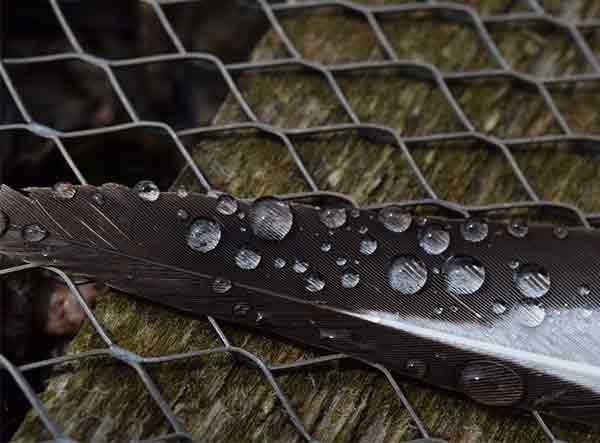 The wet sculptor