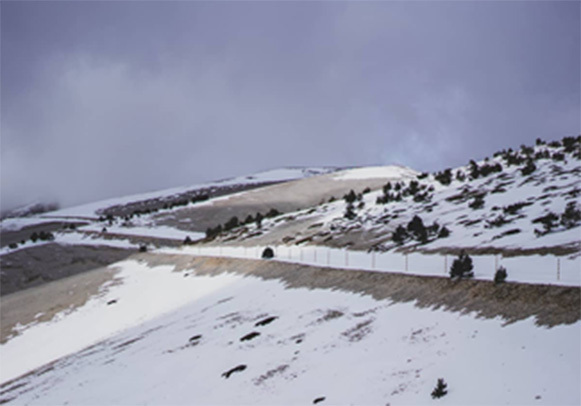 Café du Cycliste Ventoux