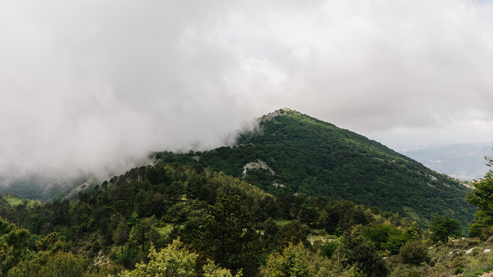 TOUR DE NICE | AN INSIDERS GUIDE TO THE HOME OF CAFÉ DU CYCLISTE